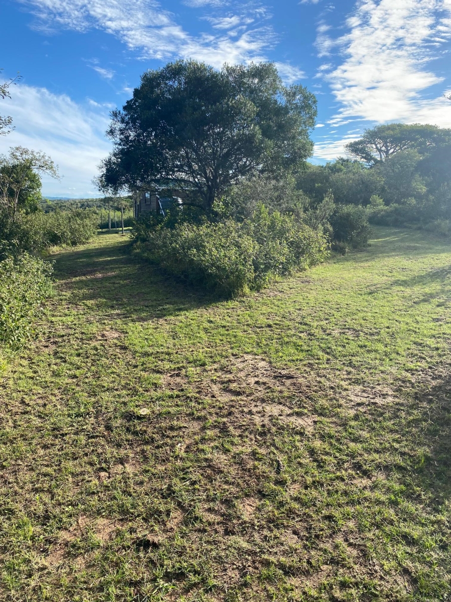 0 Bedroom Property for Sale in Bathurst Eastern Cape